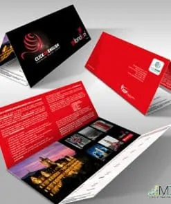 Brochure cao cấp