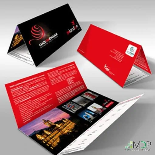 Brochure cao cấp