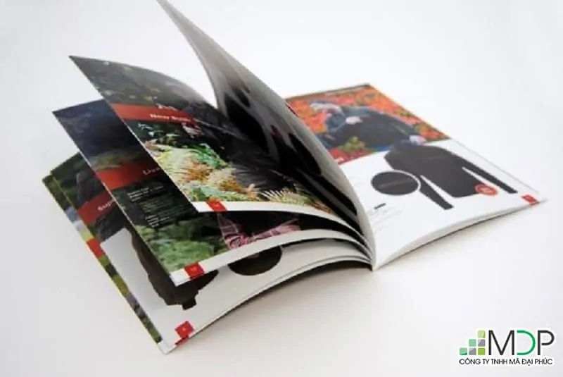 Chỉ in catalogue tại địa chỉ uy tín