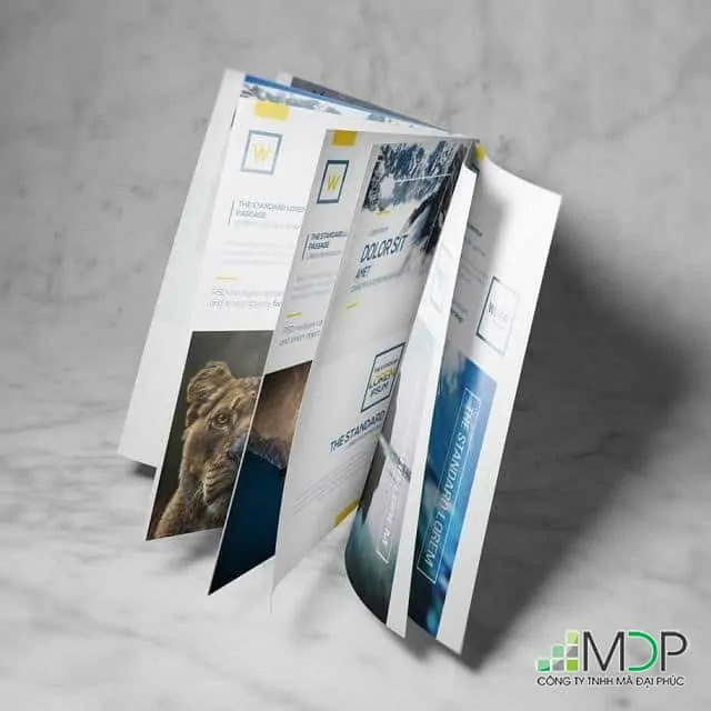 In ấn Brochure tại đơn vị uy tín