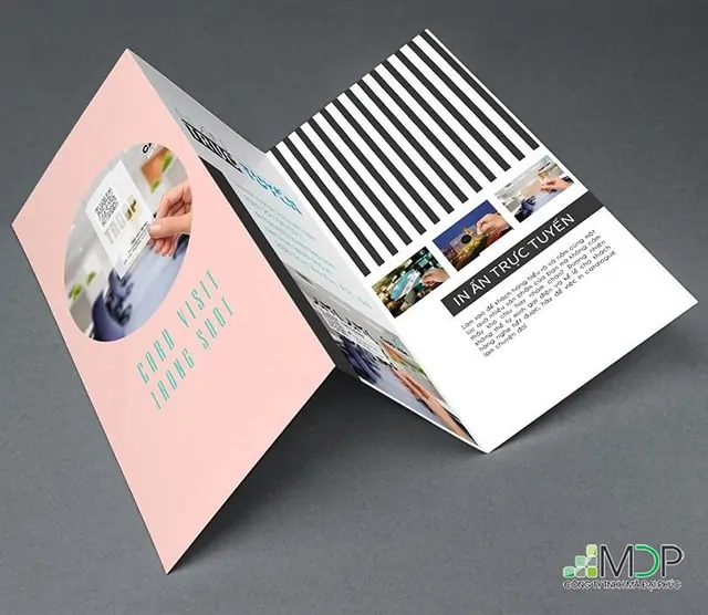 Mẫu brochure đẹp